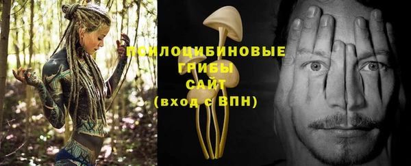 ALPHA-PVP Мегион