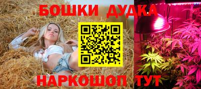 PSILOCYBIN Волжский