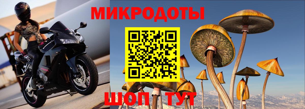Галлюциногенные грибы Magic Shrooms Лыткарино