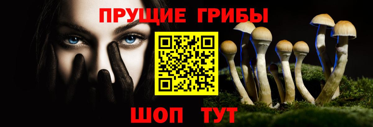 Лыткарино  Псилоцибиновые грибы мухоморы  Галлюциногенные грибы Magic Shrooms  Вход с VPN 